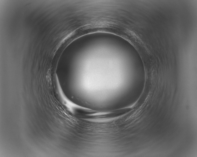 X0000052561210200507081627