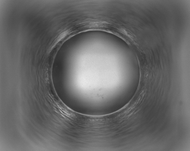 X0000052561211200507081627