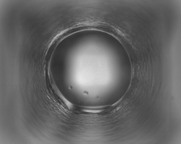 X0000052561214200507081627