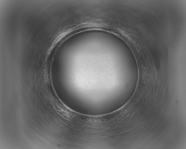 X0000052561215200507081627