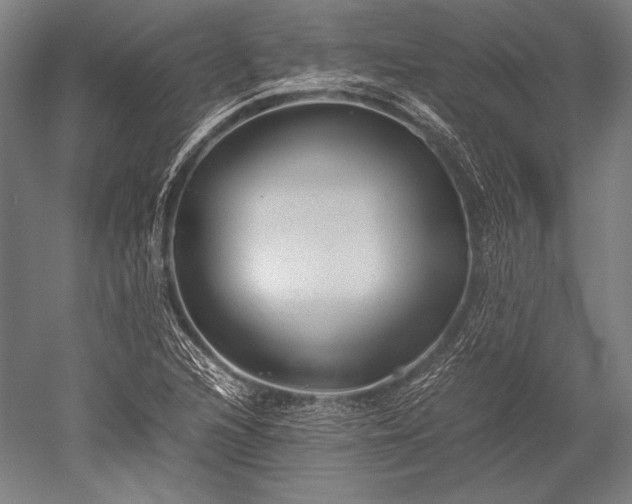 X0000052561216200507081627