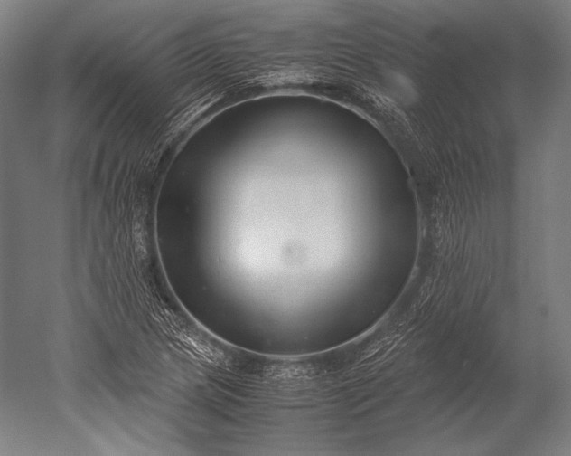 X0000052561217200507081627