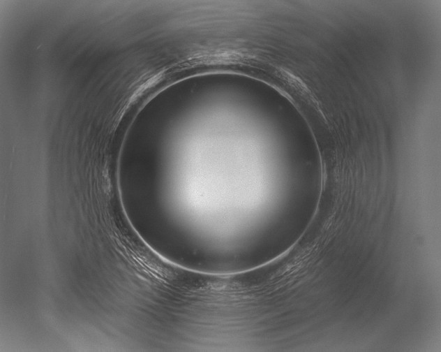 X0000052561218200507081627