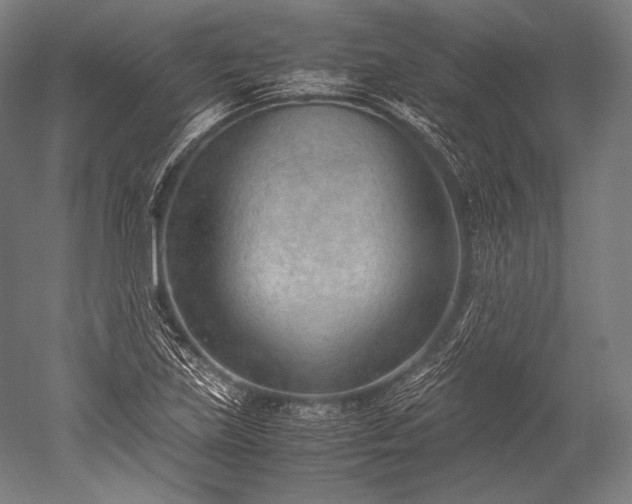 X0000052561219200507081627
