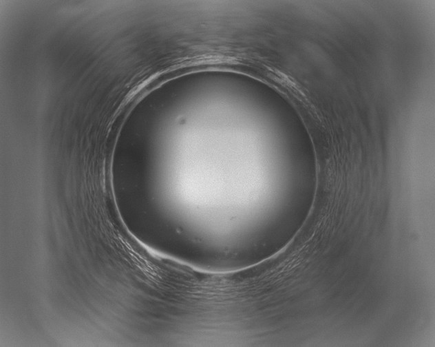 X0000052561220200507081627