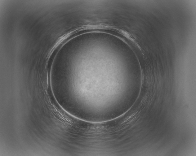 X0000052561221200507081627