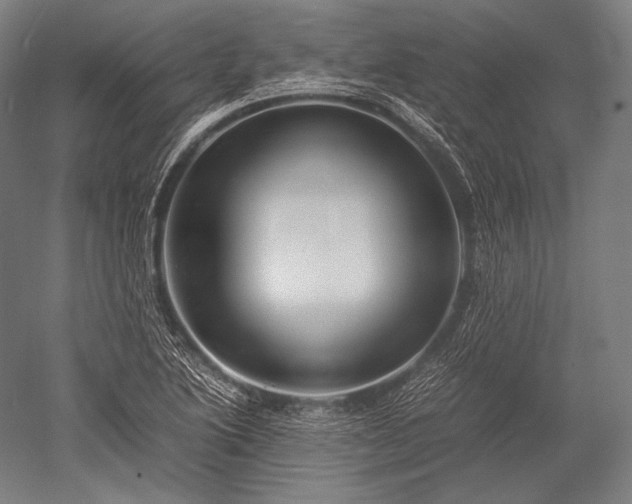 X0000052561222200507081627