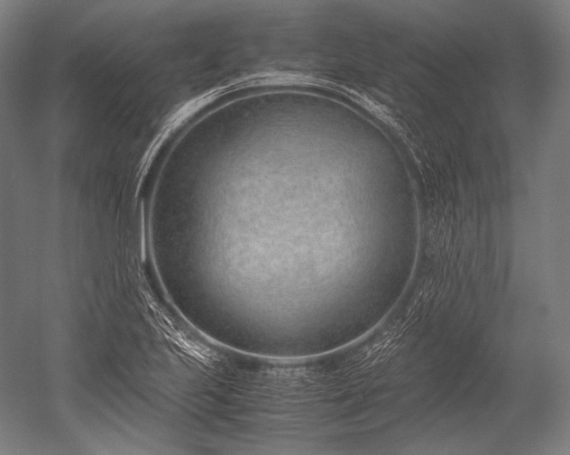 X0000052561223200507081627