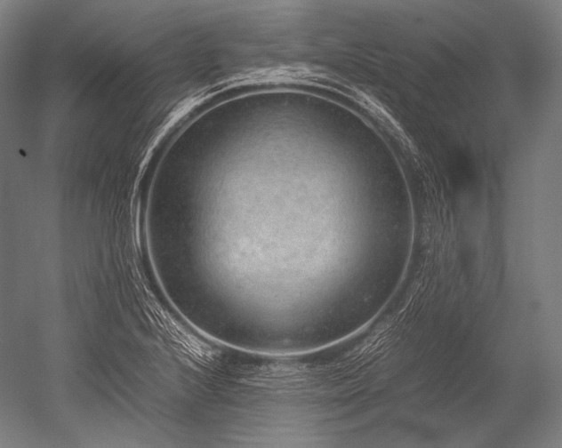 X0000052561224200507081627