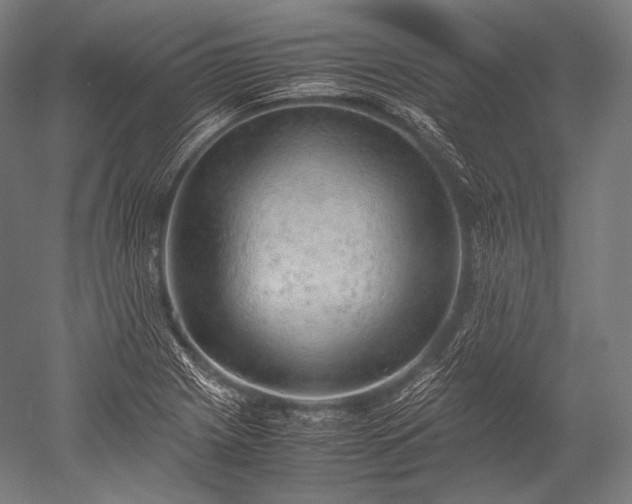 X0000052561225200507081627