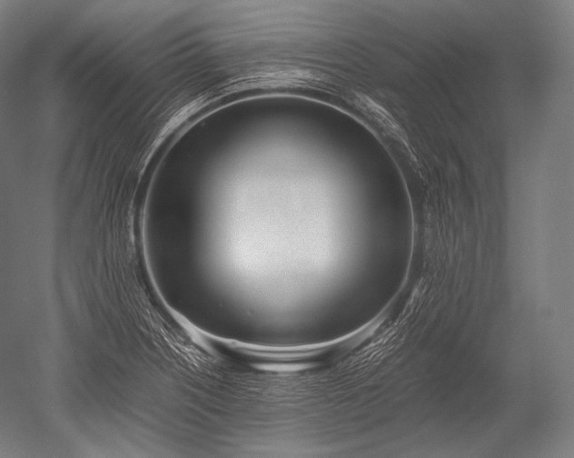 X0000052561226200507081627