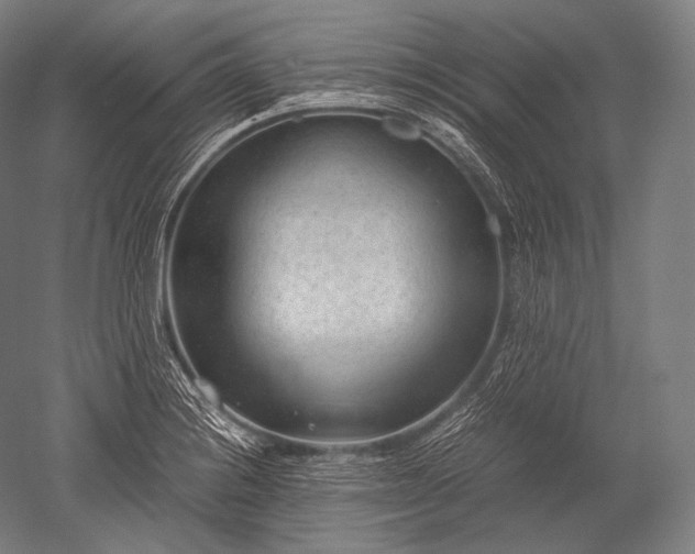 X0000052561228200507081627