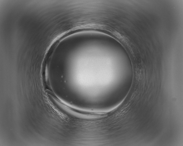 X0000052561230200507081627