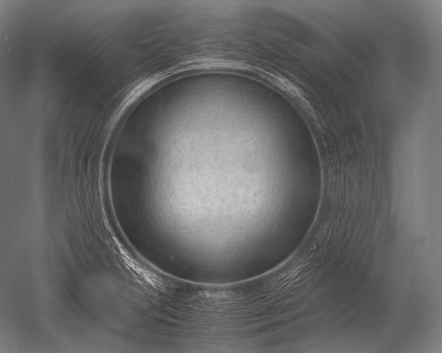 X0000052561231200507081627