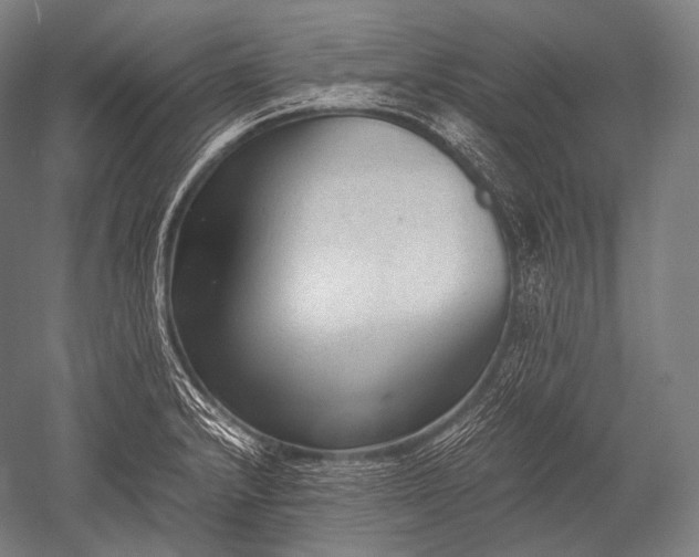 X0000052561232200507081627