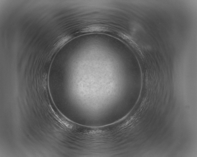 X0000052561233200507081627