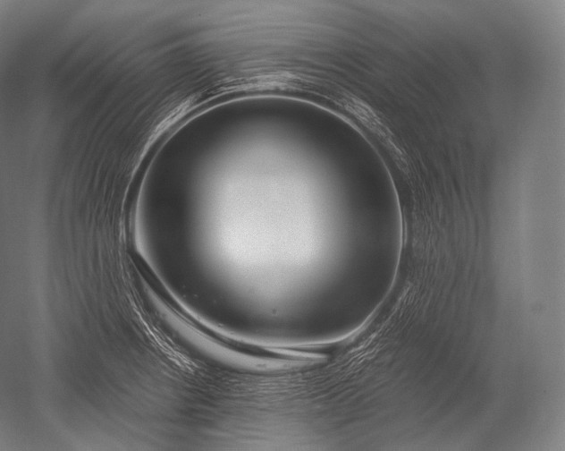 X0000052561234200507081627