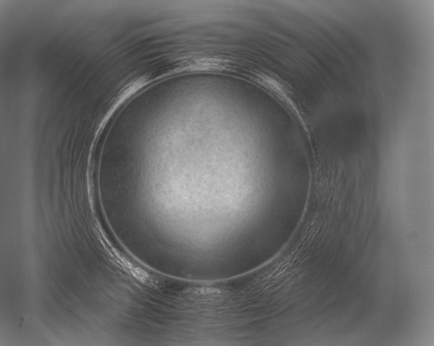 X0000052561235200507081627