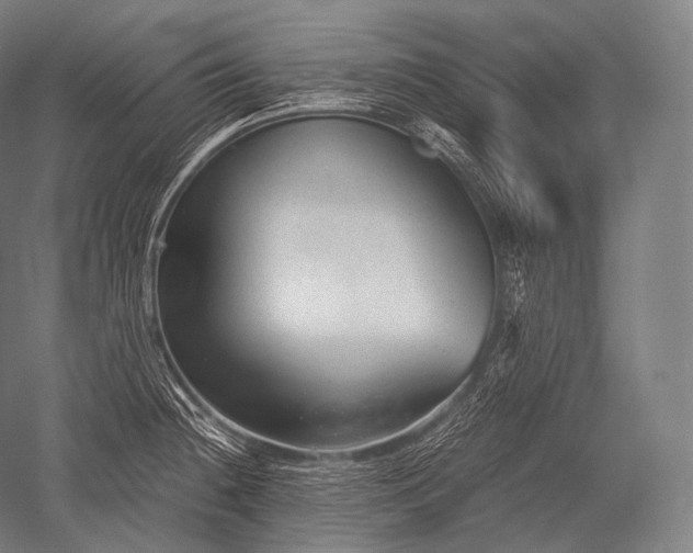 X0000052561236200507081627