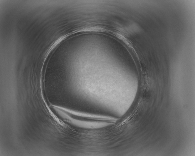 X0000052561237200507081627