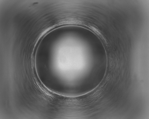 X0000052561238200507081627