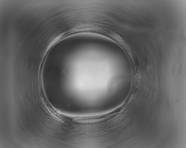 X0000052561242200507081627