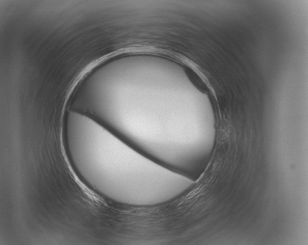 X0000052561245200507081627