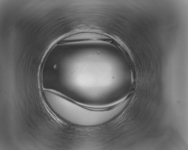 X0000052561246200507081627