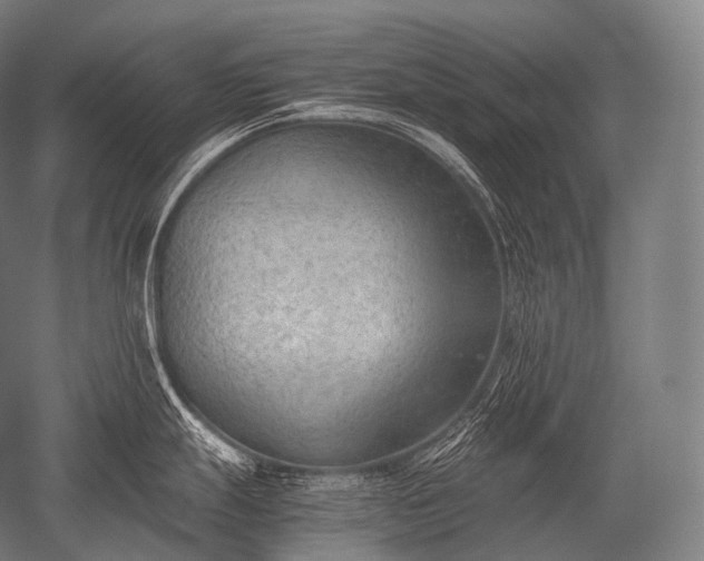 X0000052561247200507081627