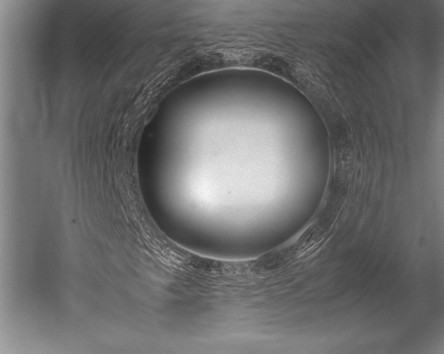X0000052561249200507081626