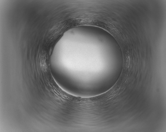 X0000052561250200507081626
