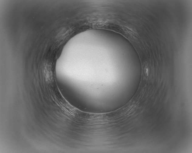 X0000052561252200507081626
