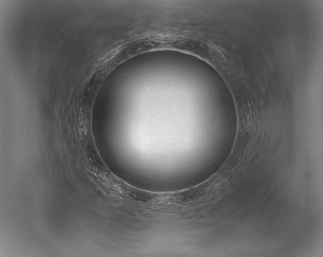 X0000052561253200507081626