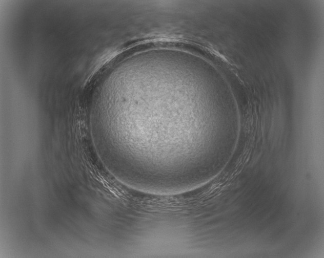 X0000052561255200507081626