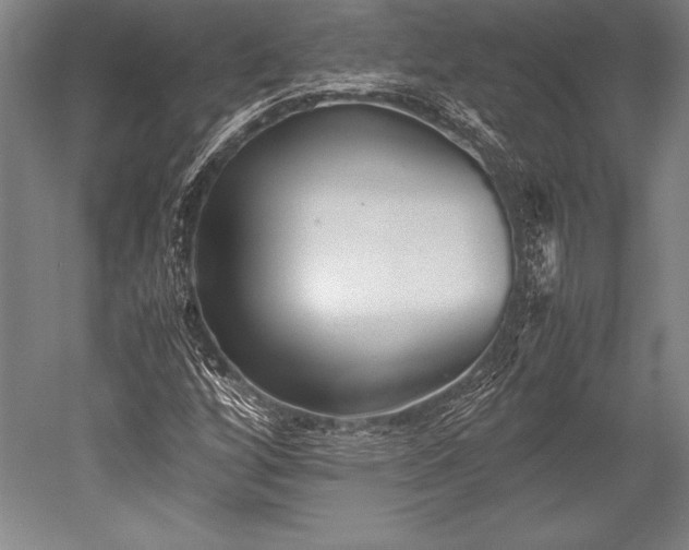X0000052561256200507081626