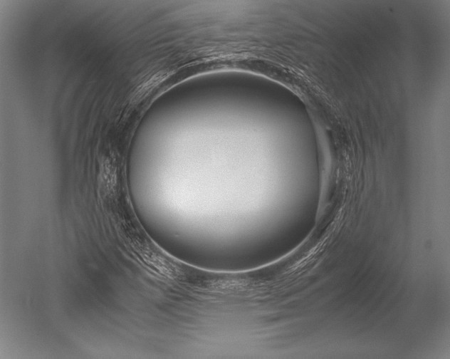 X0000052561257200507081626