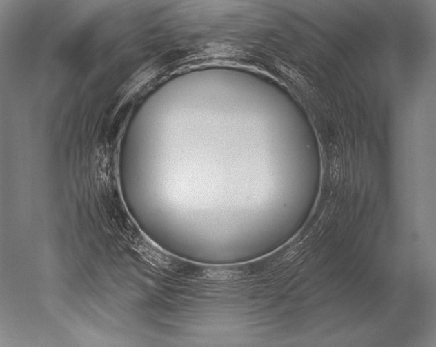 X0000052561258200507081626