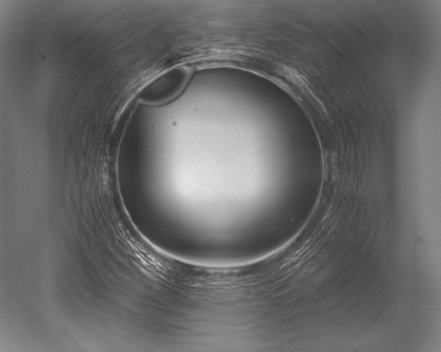 X0000052561260200507081626