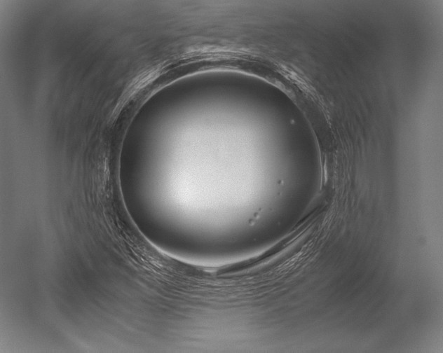 X0000052561261200507081626