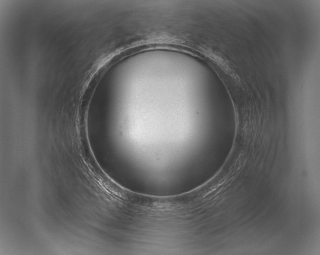 X0000052561264200507081626