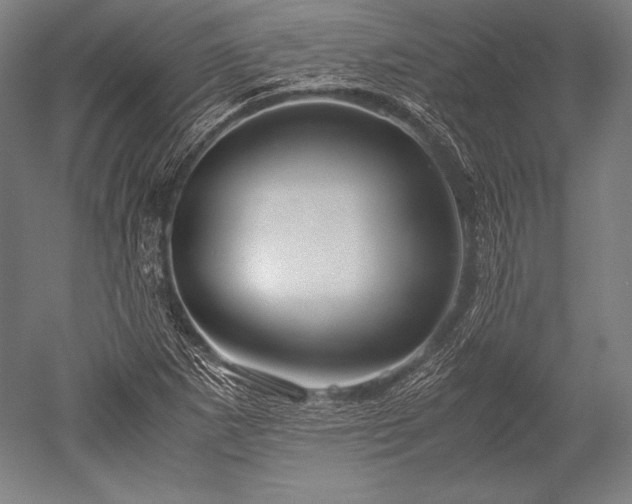 X0000052561265200507081626