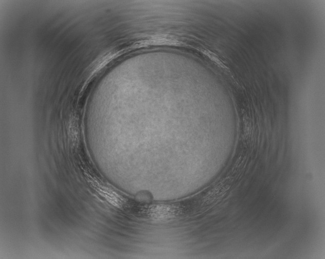 X0000052561266200507081626