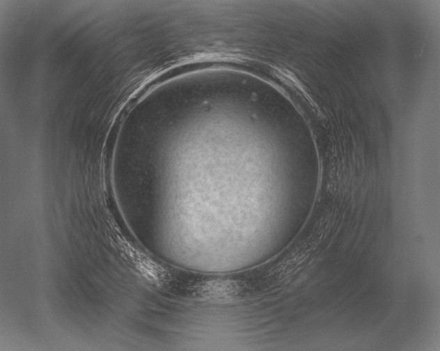 X0000052561268200507081626
