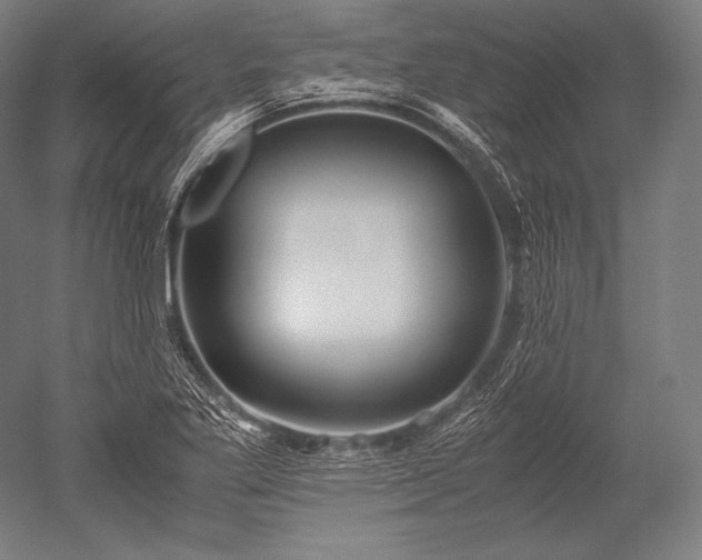 X0000052561269200507081626