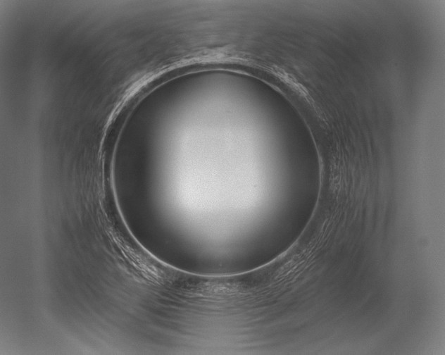 X0000052561270200507081626