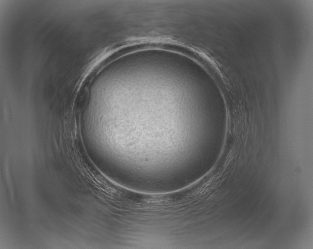 X0000052561271200507081626