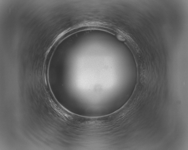 X0000052561272200507081626