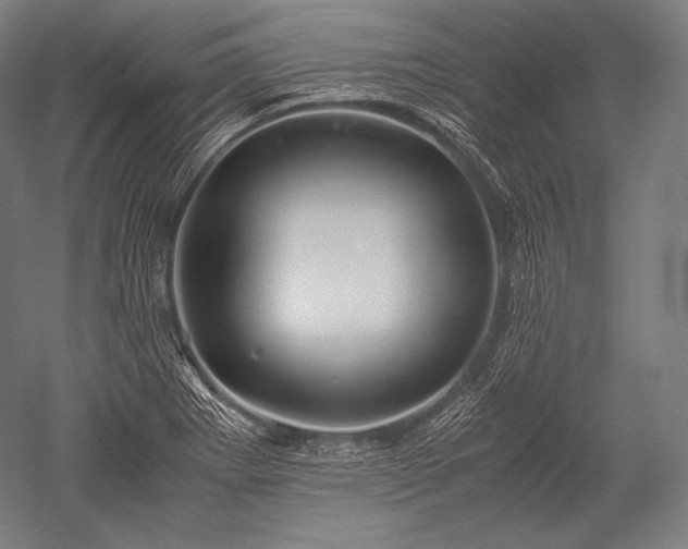 X0000052561273200507081626