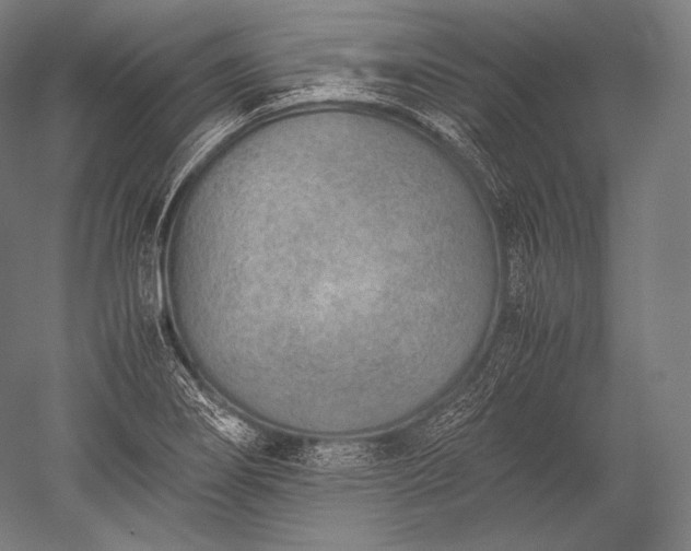 X0000052561274200507081626