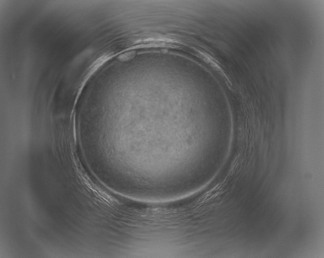 X0000052561275200507081626